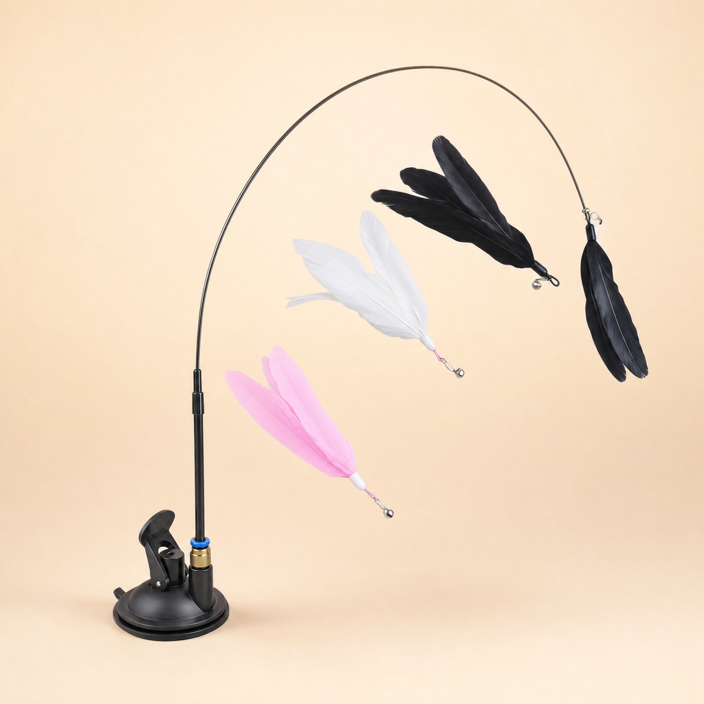 Canne a plumes a ventouse, vue studio sur fond creme
